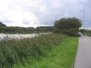 190-2004-08-28 Carpmania