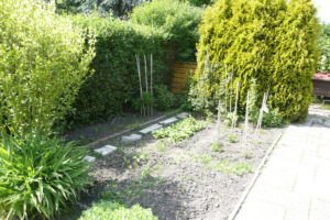190-2010-06-05 Tuin
