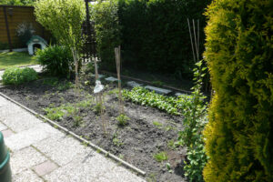 196-2010-06-05 Tuin