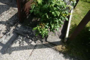 197-2010-06-05 Tuin