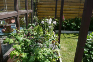 198-2010-06-05 Tuin
