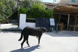199-2007-09-15 Corfu