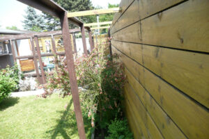 199-2010-06-05 Tuin