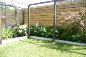 201-2010-06-05 Tuin