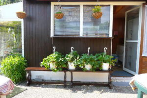 204-2008-06-09 Tuin
