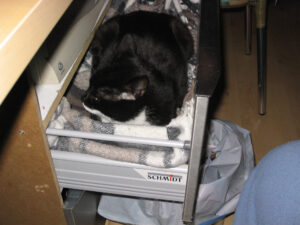216-2003-12-28 Dorus in La