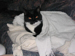 217-2003-12-28 Dorus in La