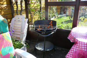 220-2008-06-29 Tuin Marja jarig