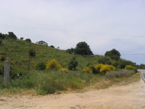 242-2005-05-24 Corfu