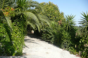243-2007-09-19 Corfu