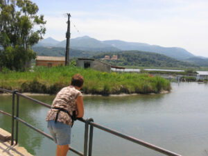 245-2005-05-24 Corfu