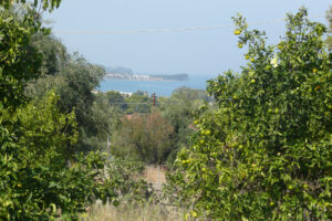 246-2007-09-19 Corfu
