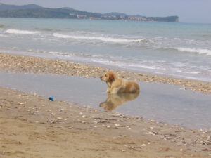 247-2005-05-25 Corfu