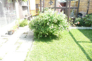 257-2010-08-14 Tuin