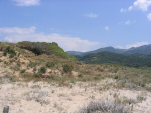 262-2005-05-28 Corfu