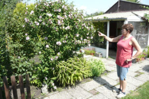 263-2010-08-14 Tuin