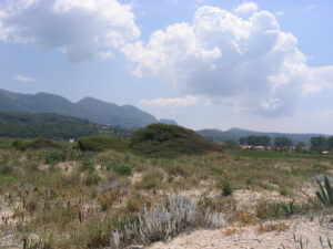 264-2005-05-28 Corfu