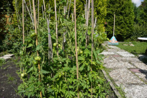 268-2010-08-14 Tuin