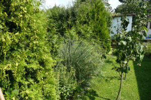 270-2010-08-14 Tuin