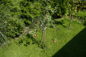 272-2010-08-14 Tuin