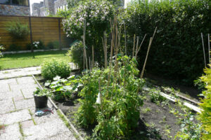 279-2010-08-14 Tuin