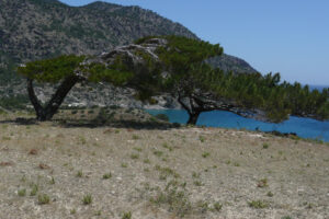 280-2009-05-27 Karpathos