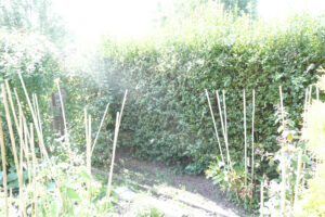 282-2010-08-14 Tuin