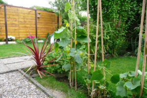 289-2008-07-16 Tuin