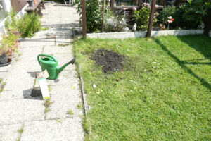 292-2010-08-14 Tuin