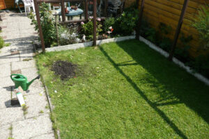 293-2010-08-14 Tuin