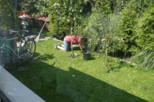 296-2010-08-14 Tuin