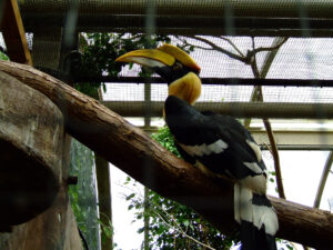 297-2006-07-09 Dierentuin