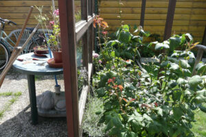 297-2010-08-14 Tuin