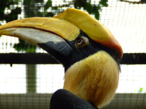 298-2006-07-09 Dierentuin
