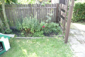 298-2010-08-14 Tuin