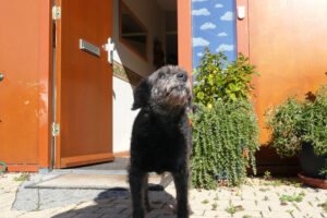 299-2007-10-14 Visite bij Agatha en Boomer