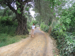 302-2005-05-30 Corfu