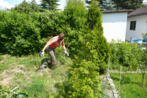 302-2009-05-31 Tuin