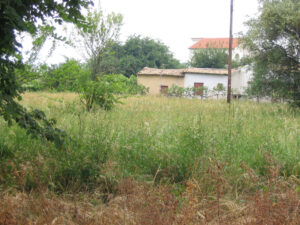 303-2005-05-30 Corfu