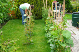303-2008-07-22 Tuin