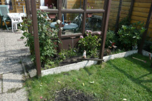 303-2010-08-14 Tuin