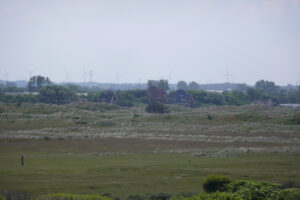 308-2009-06-01 Fietsen