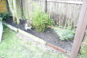 312-2010-08-14 Tuin