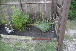313-2010-08-14 Tuin