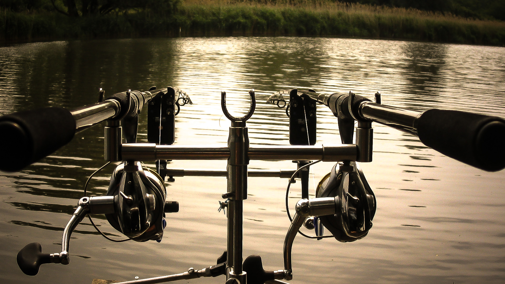 318-2005-06-03 Carpmania