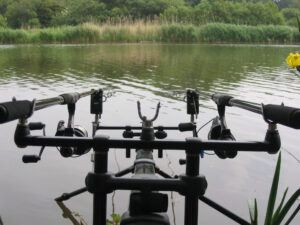 319-2005-06-03 Carpmania