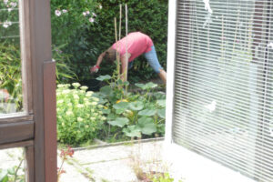 319-2010-08-14 Tuin