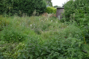 322-2010-08-14 Tuin