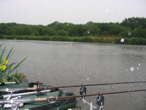 324-2005-06-03 Carpmania