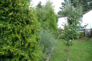 324-2010-08-14 Tuin